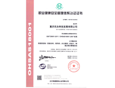 重慶蜜桃AV在线免费設計
